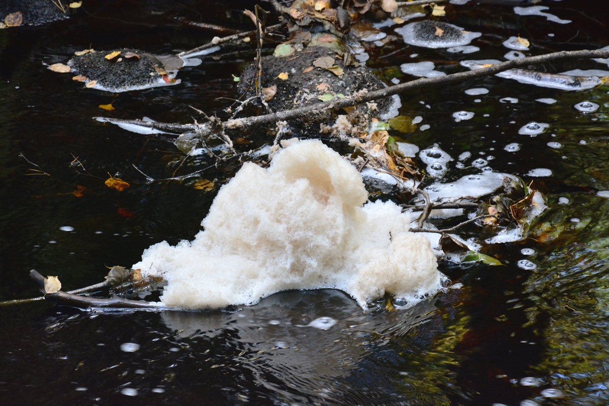 Schaumbildung durch Huminstoffe
